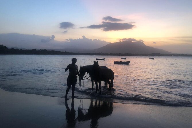 Sunset Horseback Riding in Puerto Plata - Horse welfare and the quality of the guide service