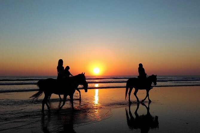 Sunset Horseback Riding in Puerto Plata - The Puerto Plata Malecón and the Atlantic setting