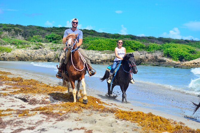 Sunset Horseback Riding Tour in Punta Cana (Private Option) - Should you book the Punta Cana sunset ride?