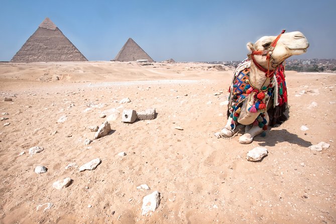 Sunset Safari Tour By Horse or Camel Ride - Choosing Between a Camel and a Horse
