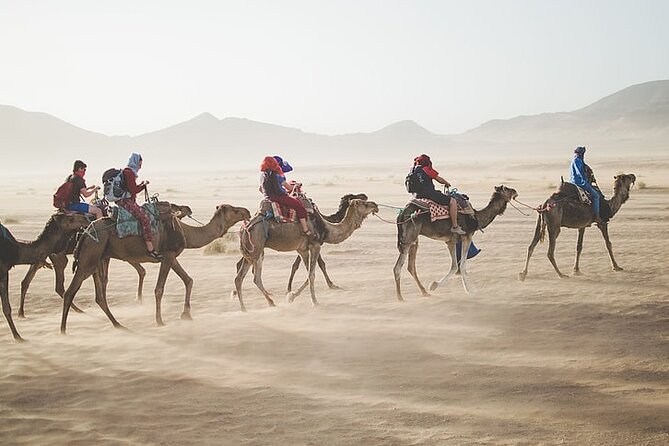 Sunset Safari Tour By Horse or Camel Ride - Practical Tips Before You Go