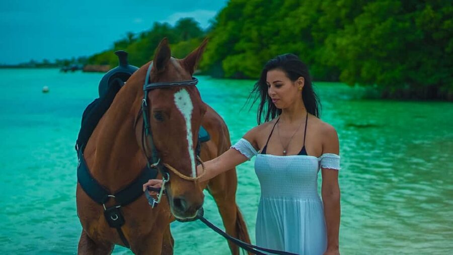 Swim Horse fom Punta Cana - Entering clear water with the horses