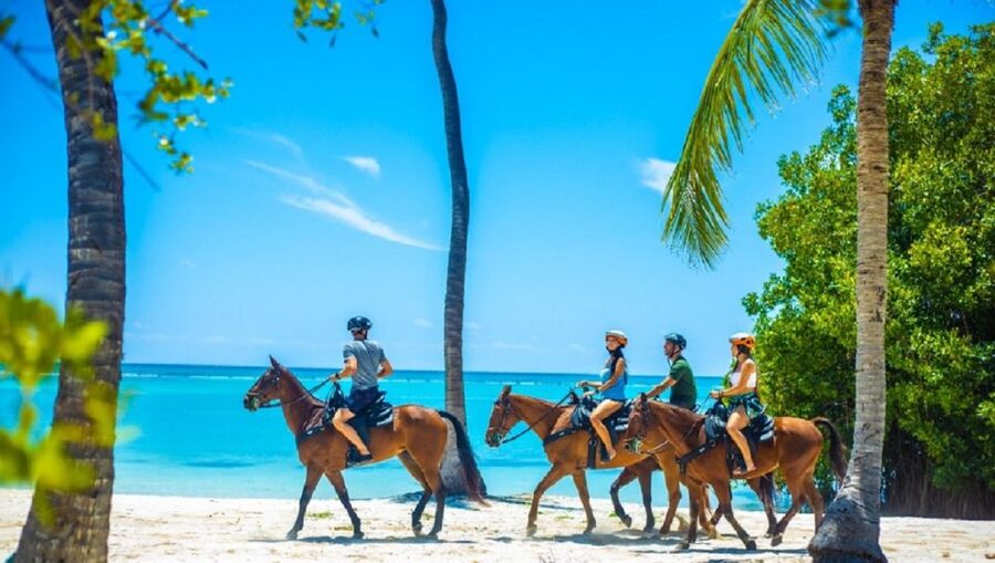 Swim Horse fom Punta Cana - Is $110 a fair price?