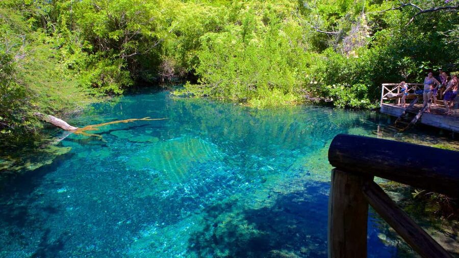 Swim Horse fom Punta Cana - Who should book this horse-swimming tour?