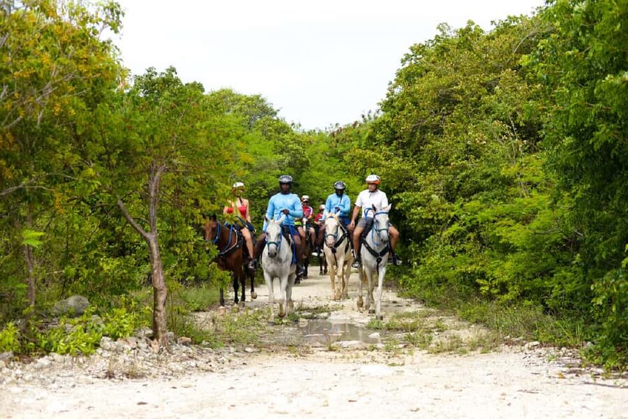 Swim Horse fom Punta Cana - Riding through tropical forest and along stone paths