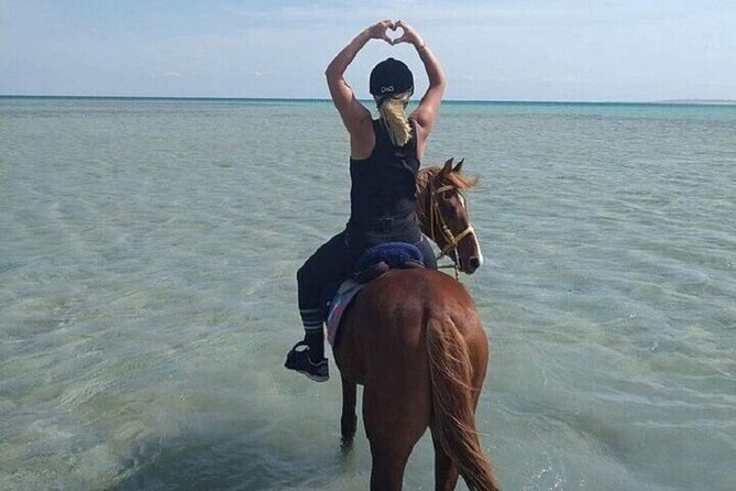 Swimming by Horse 3 Hours ,Beach, Desert & Dinner - Hurghada - Dinner and drinks after the ride