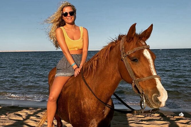Swimming by Horse 3 Hours ,Beach, Desert & Dinner - Hurghada - What the $21 price really covers