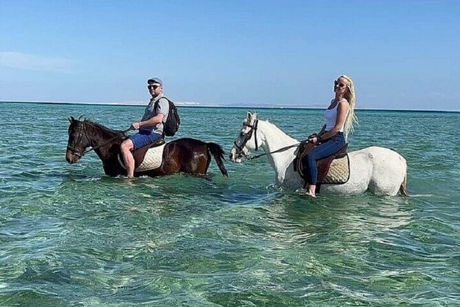 Swimming by Horse 3 Hours ,Beach, Desert & Dinner - Hurghada - Group size, staff, and the feel of the outing