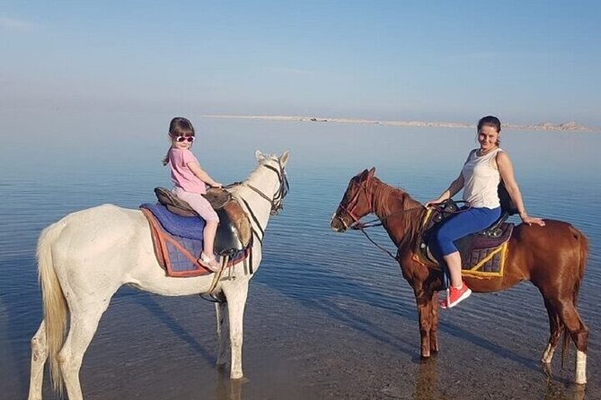 Swimming by Horse 3 Hours ,Beach, Desert & Dinner - Hurghada - Who will enjoy this Hurghada experience