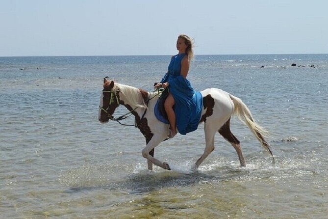 Swimming by Horse 3 Hours ,Beach, Desert & Dinner - Hurghada - Practical points to settle before you go