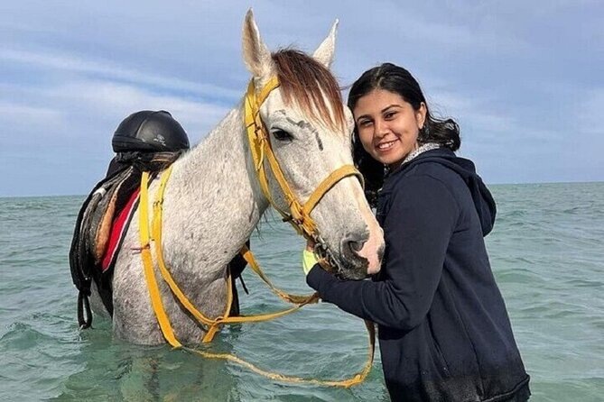 Swimming by Horse 3 Hours ,Beach, Desert & Dinner - Hurghada - Swimming with the horse in the Red Sea