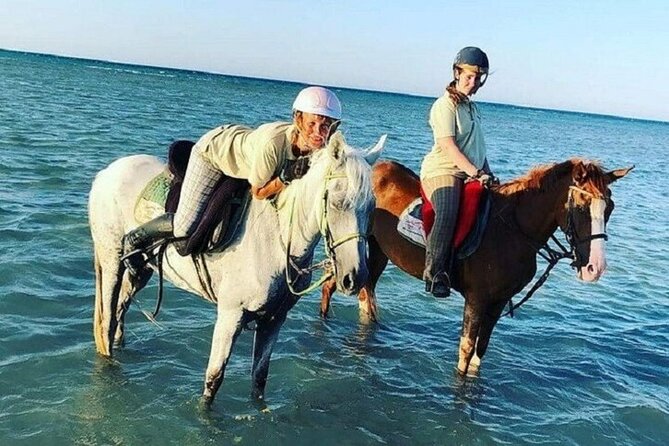 Swimming by Horse at Red Sea Beach & Desert with Dinner- Hurghada - Dinner after the riding program