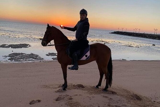 Swimming by Horse at Red Sea Beach & Desert with Dinner- Hurghada - What the $21 price really means