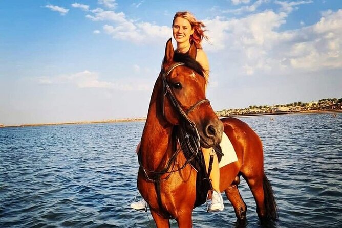 Swimming by Horse at Red Sea Beach & Desert with Dinner- Hurghada - The guide and the horses shape the experience
