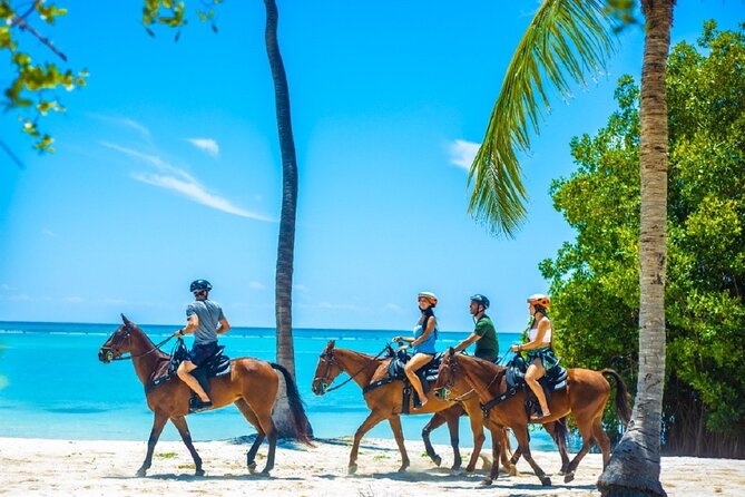 Swimming with Horses at the Beach from Punta Cana Free transportation - What the $119 price really buys you
