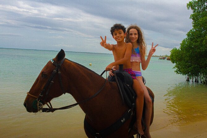 Swimming with Horses at the Beach from Punta Cana Free transportation - Pickup is included, but confirm it twice
