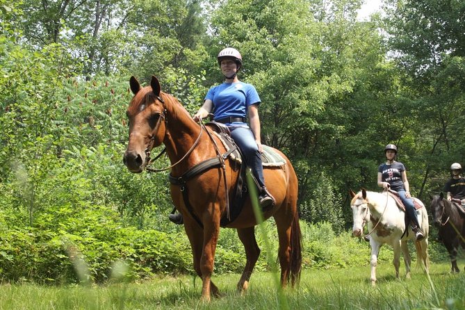 Swimming with Horses at the Beach from Punta Cana Free transportation - What to wear and pack