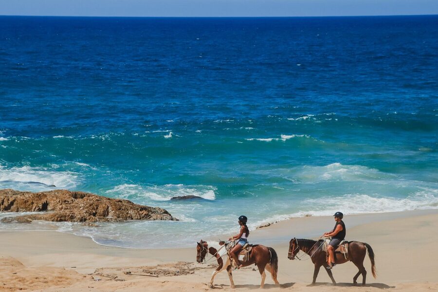 Tacos and Horseback Riding at Migriño beach - The price: $125 before gratuity, if all fees apply