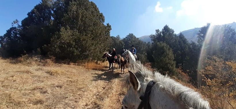 Tashkent: 3-Day Horseback Riding Tour in Chimgan Mountains - What the $430 price really includes