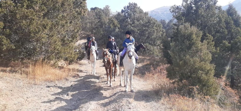 Tashkent: 3-Day Horseback Riding Tour in Chimgan Mountains - First night beside the river