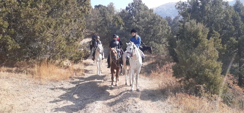 Tashkent: 3-Day Horseback Riding Tour in Chimgan Mountains - Leaving Tashkent for Aksai Valley