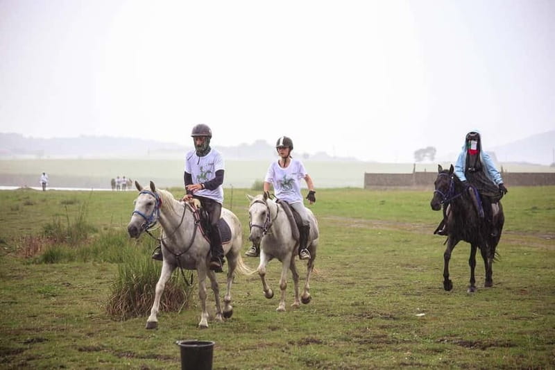 Tbilisi: Kakheti Horse Riding, Wine Tasting, and Cooking … - Why This One-Day Trip Works So Well