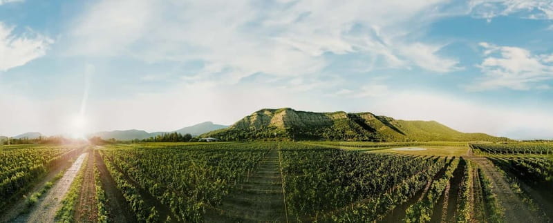 Tbilisi: Kakheti Horse Riding, Wine Tasting, and Cooking … - Into the Kvareli Wine Cave