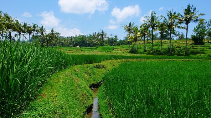 Telaga Waja Rafting and Bali Horse Riding Packages - Leaving Seminyak at 8:00 am