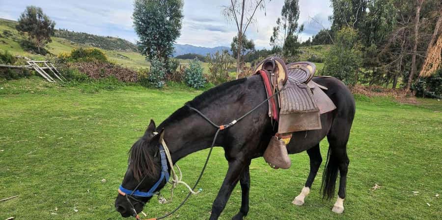 Temple of the Moon Horseback Riding Tour with Transfer - Key points to know before booking