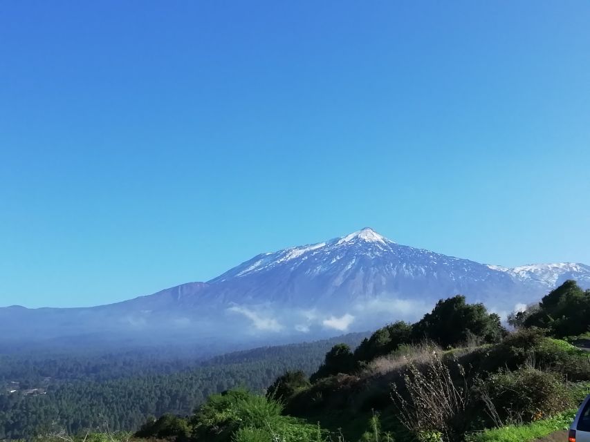 Tenerife: Guided Horseback Riding Tour to the Lomo Forest - Why this north Tenerife ride works for beginners