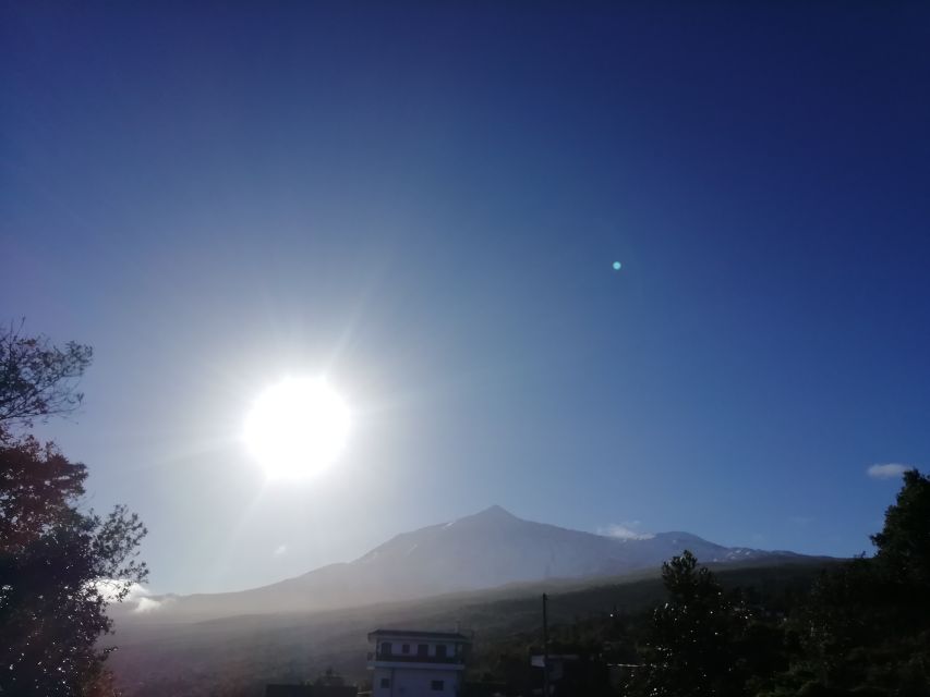 Tenerife: Guided Horseback Riding Tour to the Lomo Forest - What the $57 price gets you