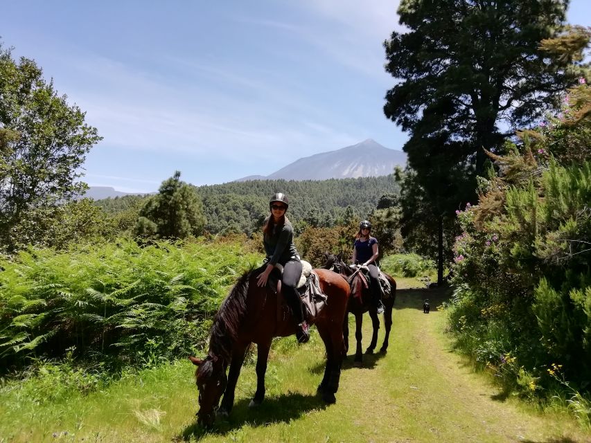 Tenerife: Guided Horseback Riding Tour to the Lomo Forest - Finding Finca Estrella without taking the wrong road