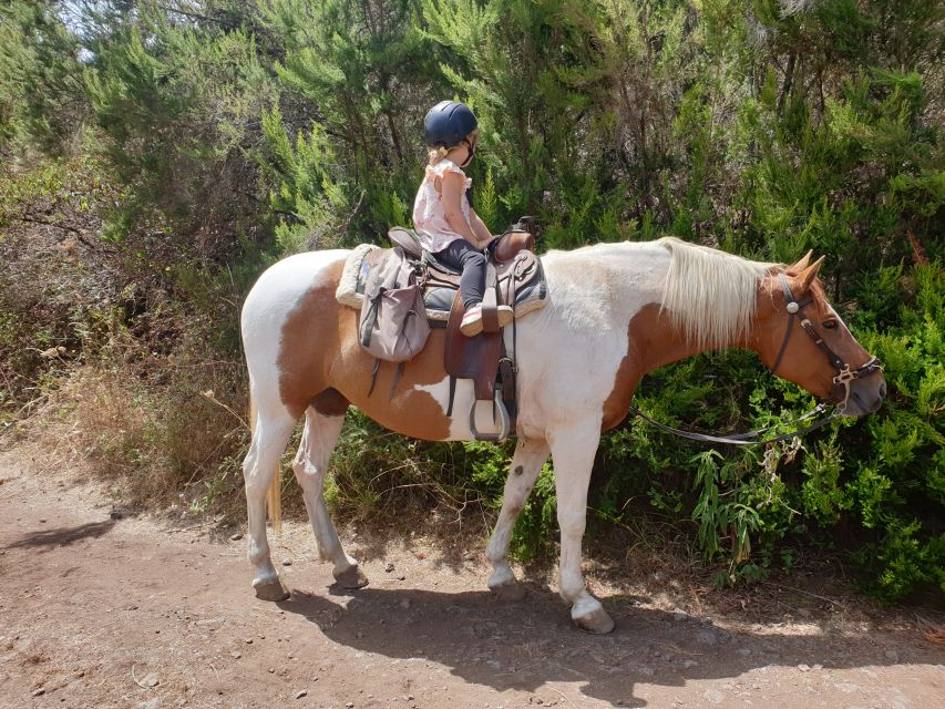 Tenerife: Guided Horseback Riding Tour to the Lomo Forest - Who will enjoy this, and who should skip it?