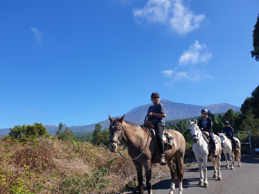 Tenerife: Guided Horseback Riding Tour to the Lomo Forest - Arrive at 11 a.m. for the real start of the experience