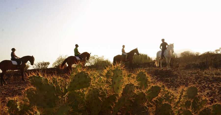 Tenerife: Horseback Ride with Instructor - Key points before you saddle up