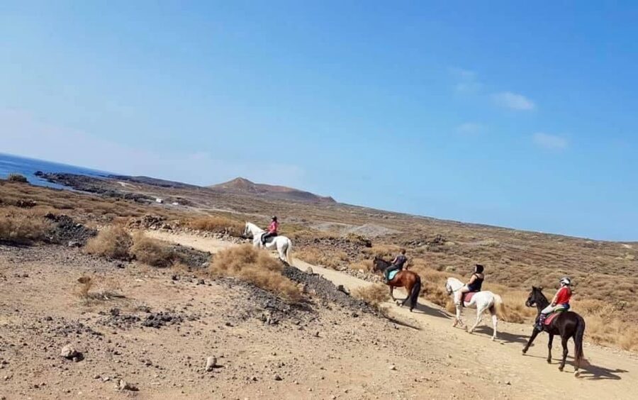 Tenerife: Horseback Ride with Instructor - Starting at Xanadu in Arona