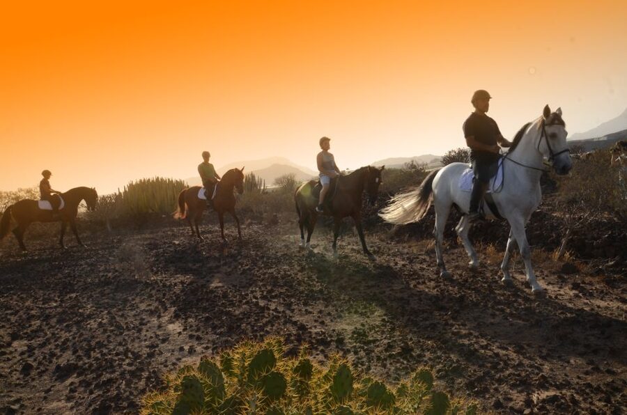 Tenerife: Horseback Ride with Instructor - One hour through southern Tenerife