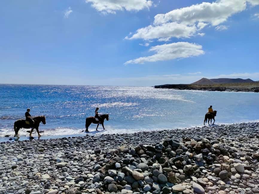 Tenerife South: Private Horseback Ride to the Coast - Key points at a glance