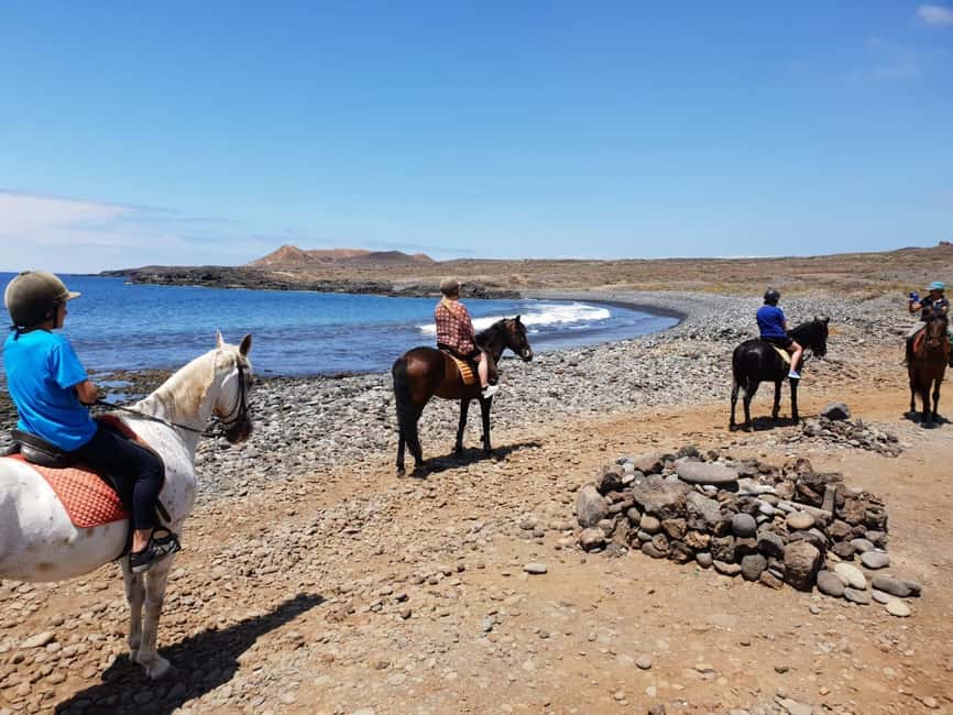 Tenerife South: Private Horseback Ride to the Coast - When the horses can enter the water