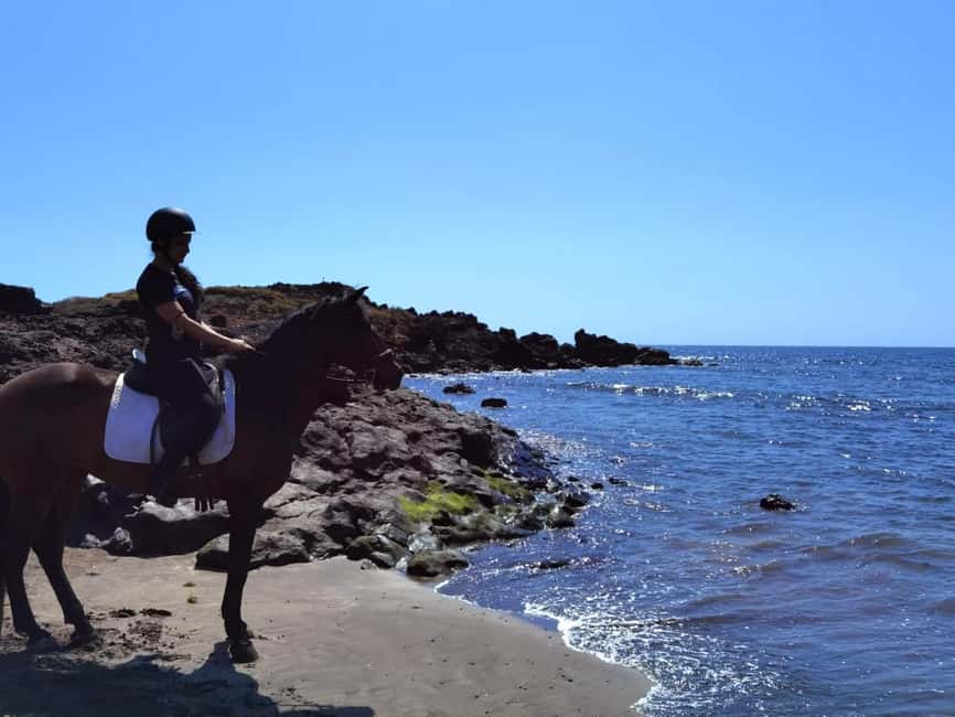Tenerife South: Private Horseback Ride to the Coast - The coastal approach and Costa del Silencio