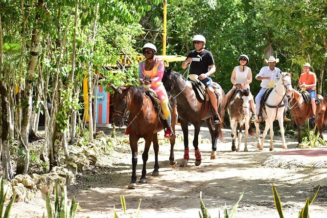 Tequila Tasting, Horseback Riding,ATV, Ziplines Cenote and Lunch - The cenote is the day’s most memorable stop