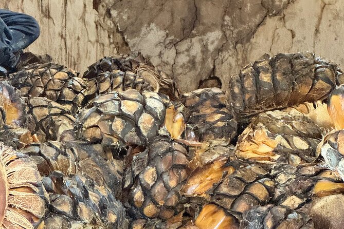 Tequilero Tour with Horseback Riding - Lunch at Carnitas Jaimes and a Walk Through Arandas