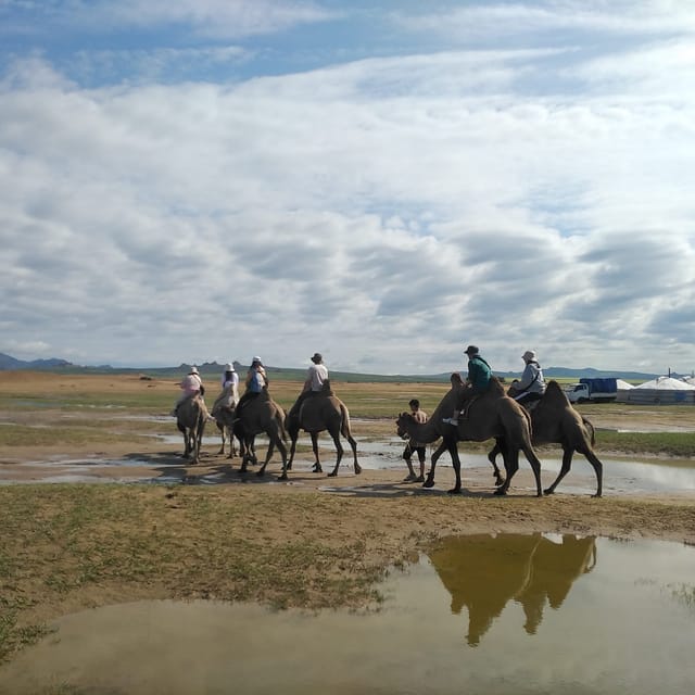Terelj National Park: Tour with horse riding and hiking - The return to Ulaanbaatar and Narantuul Market