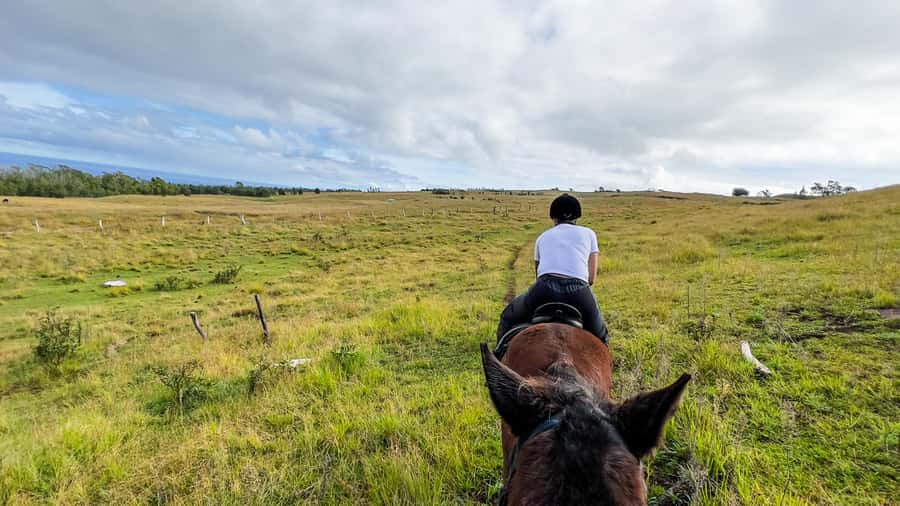 Terevaka Horse Excursion: The highest point and 360° view. - What the ride feels like for beginners