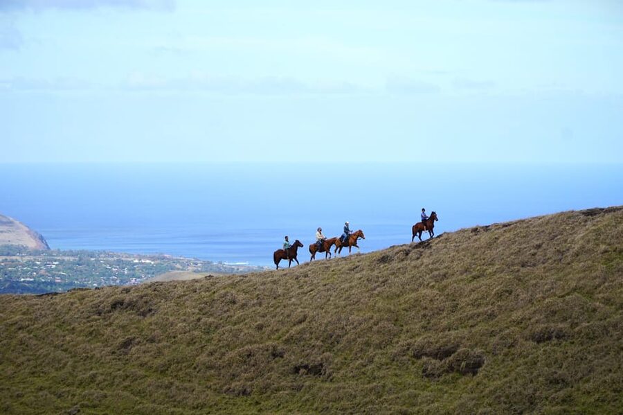 Terevaka Mount: Morning Horseback Riding & Planting Tour - Starting in Hangaroa and Reaching Vaitea