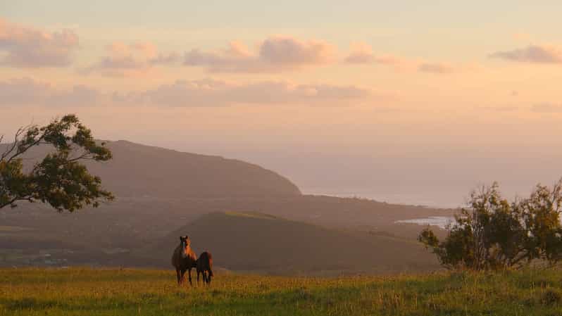 Terevaka Mount: Morning Horseback Riding & Planting Tour - Following Ava Ranga Uka Toward Rano a Roi
