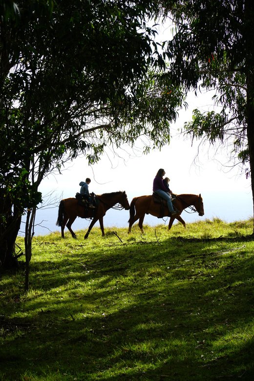 Terevaka Mount: Morning Horseback Riding & Planting Tour - The Final Climb to Mount Terevaka