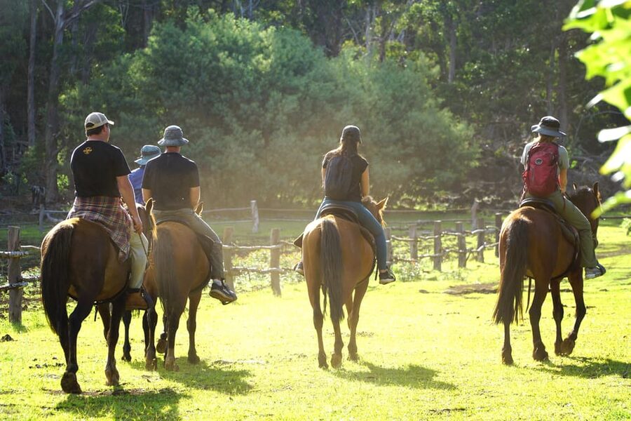 Terevaka Mount: Morning Horseback Riding & Planting Tour - How the Small Group Changes the Experience