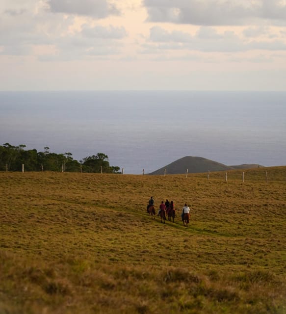 Terevaka Mount: Morning Horseback Riding & Planting Tour - Should You Book the Terevaka Horseback Ride?