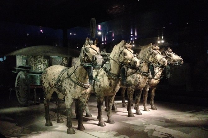 Terra-Cotta Warriors & Horses Essential Full Day Tour from Xi'an - The guide can make or break the day
